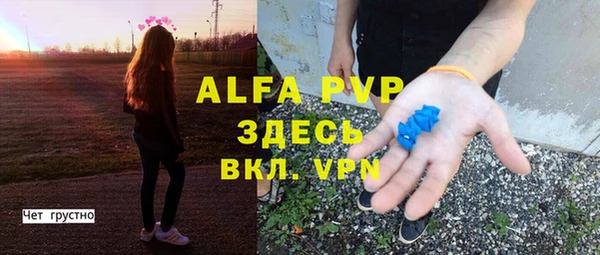 стафф Алзамай