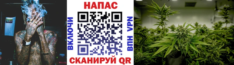 закладки  Гаджиево  Марихуана конопля 